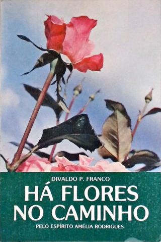 Há Flores No Caminho