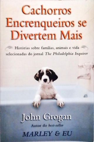 Cachorros Encrenqueiros Se Divertem Mais