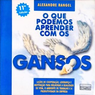 O Que Podemos Aprender Com Os Gansos