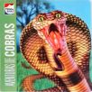 Aventuras de Cobras