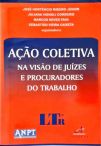 Ação Coletiva: Na Visão De Juízes E Procuradores Do Trabalho