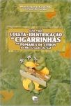 Guia Para Coleta e Identificação De Cigarrinhas Em Pomares De Citros no Rio Grande do Sul