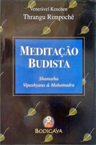 Meditação Budista