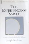 Experience Of Insight