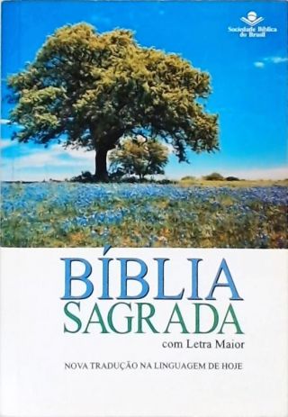 Bíblia Sagrada Com Letra Maior