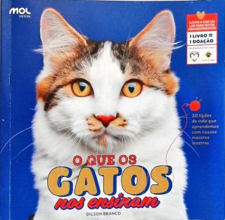 O que os Gatos nos ensinam