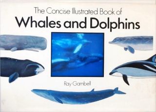 The Concise Illustrated Book of Whales and Dolphins