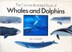 The Concise Illustrated Book of Whales and Dolphins