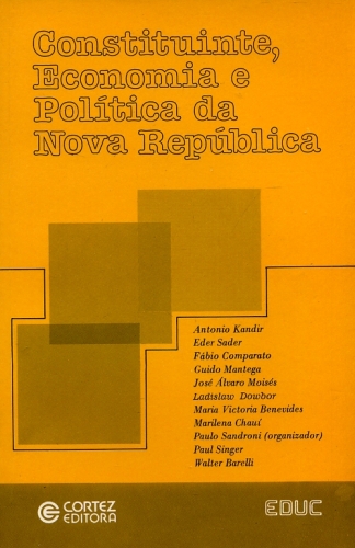 Constituinte, Economia e Política da Nova República