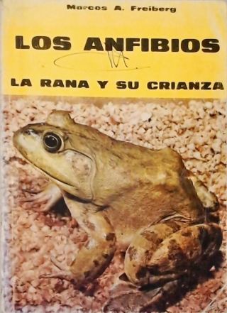 Los Anfibios: La Rana y su Crianza