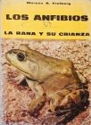 Los Anfibios: La Rana y su Crianza