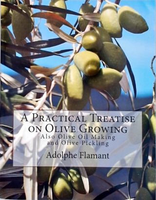 A Practical Treatise on Olive Growing