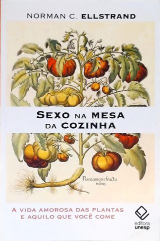 Sexo na Mesa da Cozinha