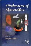 Mechanisms of Regeneration