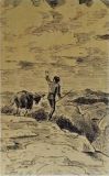 Travels With a Donkey in The Cevennes