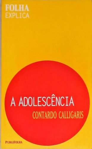 A Adolescência