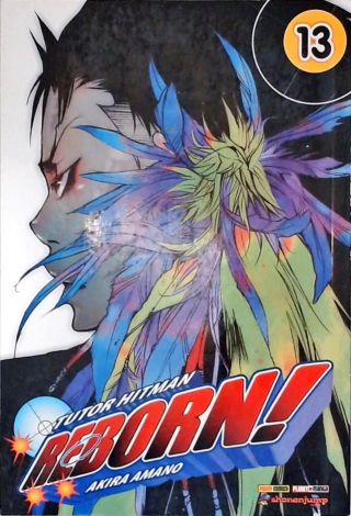 Reborn! Vol. 13