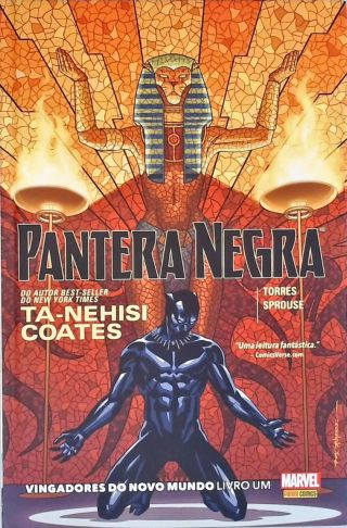 Pantera Negra: Vingadores Do Novo Mundo - Vol. 1