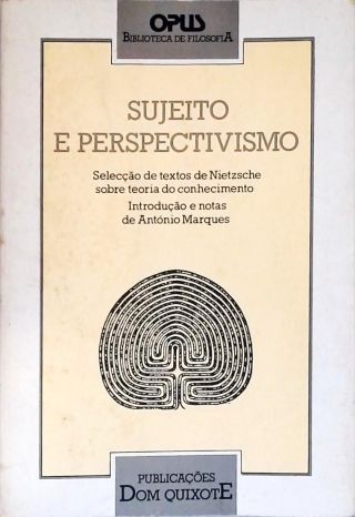 Sujeito E Perspectivismo
