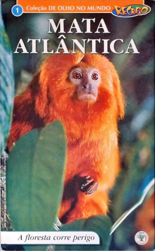 Mata Atlântica - A Floresta Corre Perigo