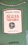 Águia Negra