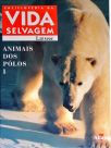 Animais Dos Pólos - Vol. 1