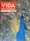 Animais da Selva - Vol. 2