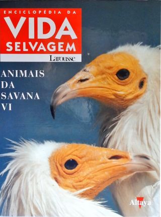 Animais da Savana - Vol. 6
