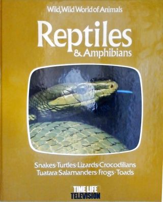 Reptiles And Amphibians