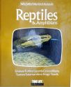Reptiles And Amphibians