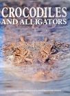 Crocodile and Alligators