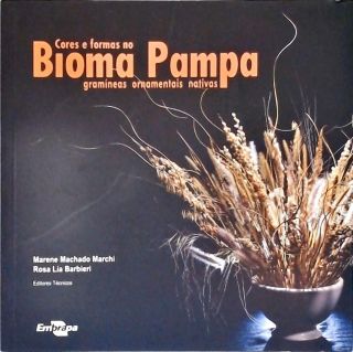 Cores E Formas No Bioma Pampa