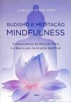 Budismo e Meditação Mindfulness
