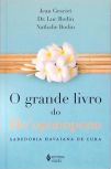 O Grande Livro Do Ho'oponopono