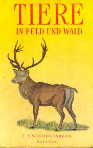 Tiere in Feld und Wald