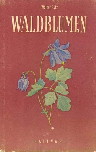 Waldblumen