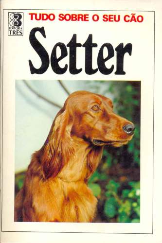 Tudo sobre o seu Cão Setter