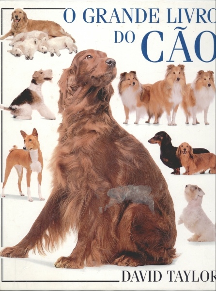 O Grande Livro do Cão