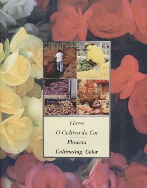 Flores: O Cultivo da Cor / Flowers: Cultivating Color