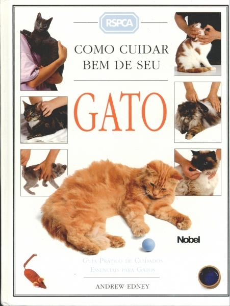 Como Cuidar Bem de Seu Gato -