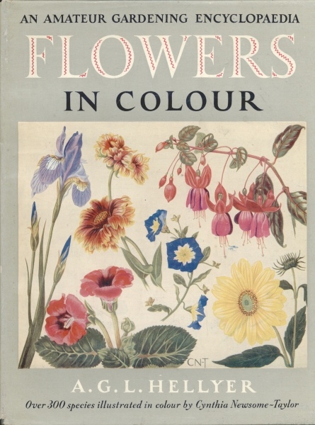 Flowers in Colour