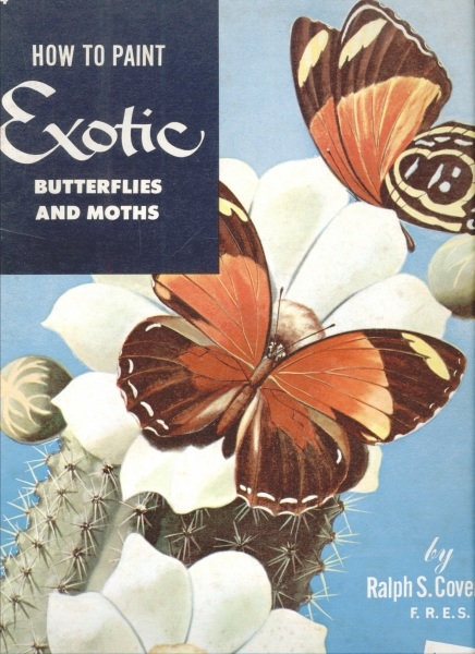 How to Paint Exotic Butterflies and Moths