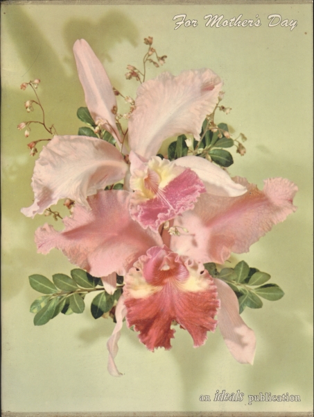 Revista for Mother`s Day