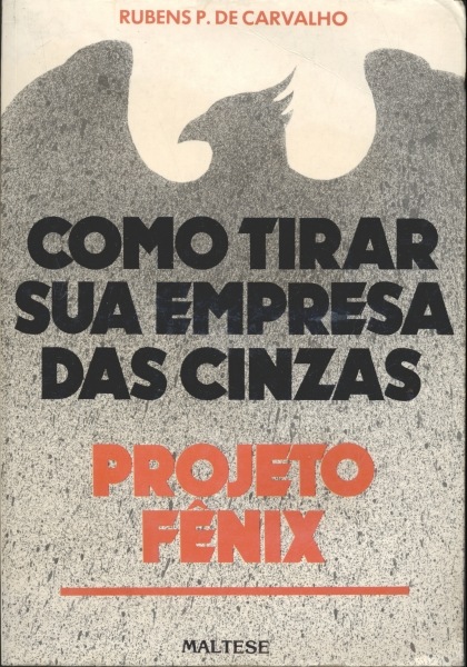 Como Tirar Sua Empresa das Cinzas