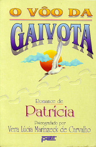 O VÔO DA GAIVOTA