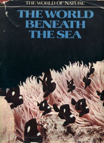 THE WORLD BENEATH THE SEA