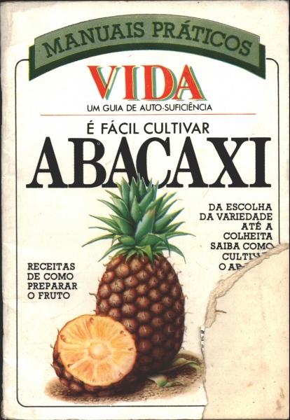 É Fácil Cultivar Abacaxi