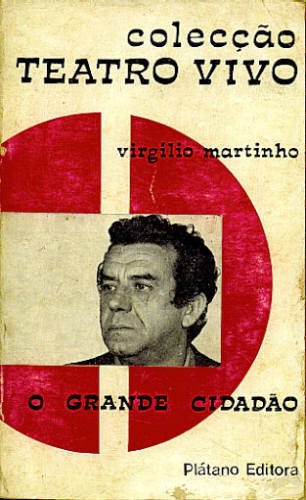 O GRANDE CIDADÃO