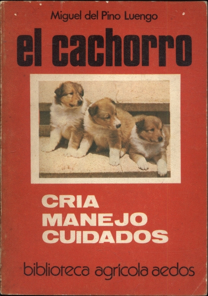 El Cachorro