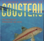 A Grande Aventura de Cousteau Vol. 22